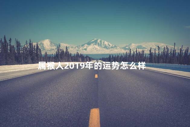 属猴人2019年的运势怎么样