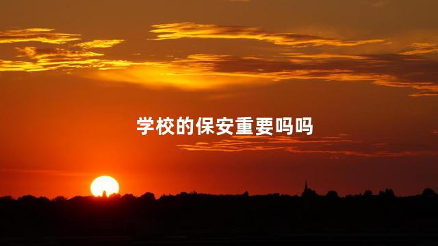 学校的保安重要吗吗