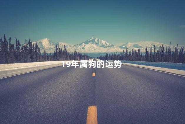 19年属狗的运势