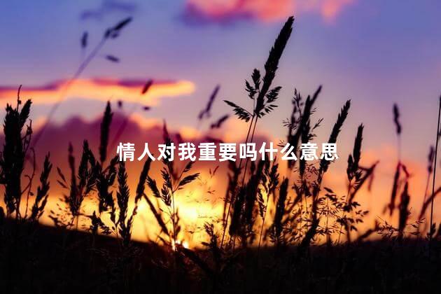 情人对我重要吗什么意思