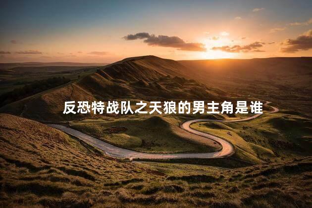反恐特战队之天狼的男主角是谁