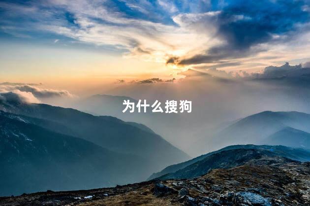 为什么搜狗