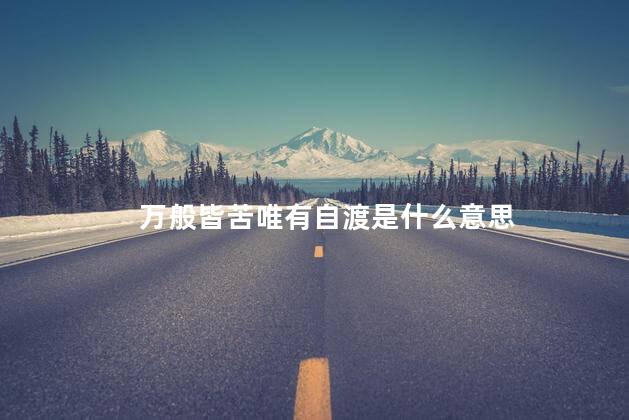 万般皆苦唯有自渡是什么意思