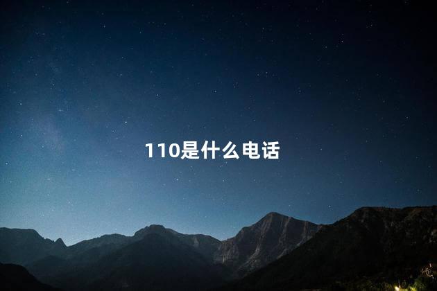 110是什么电话