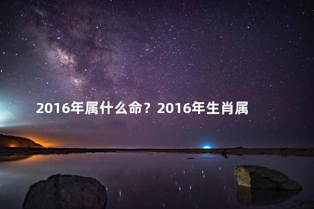2016年属什么命？2016年生肖属相，你属什么？