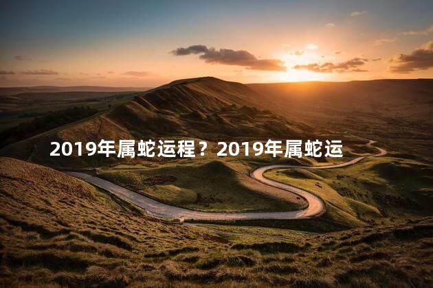 2019年属蛇运程？2019年属蛇运势全解析