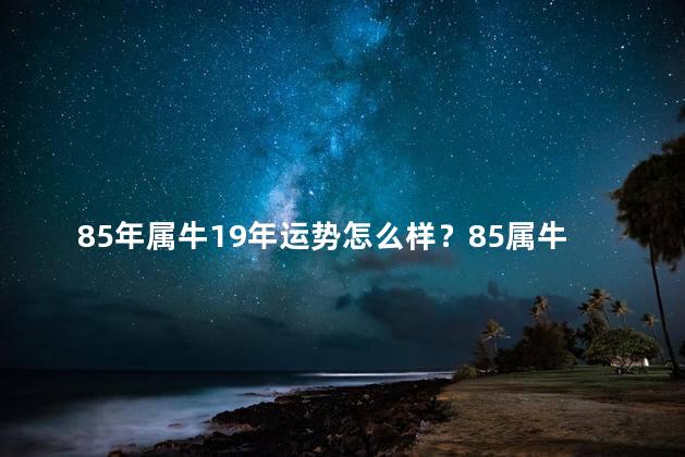 85年属牛19年运势怎么样？85属牛19年运势如何？