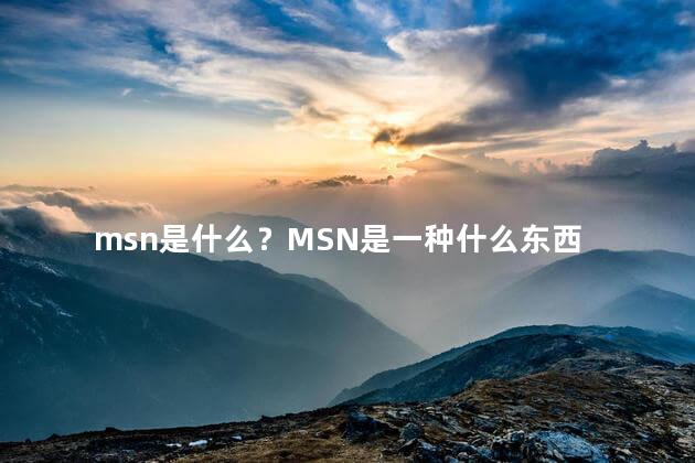 msn是什么？MSN是一种什么东西
