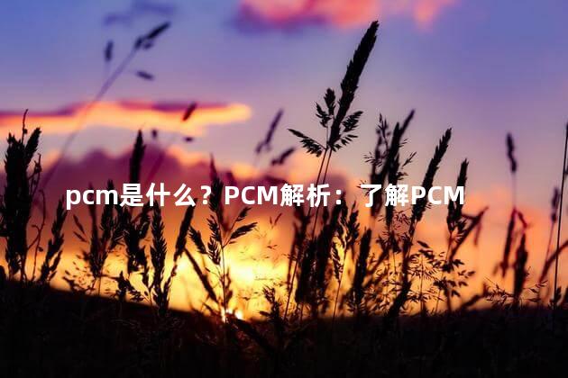 pcm是什么？PCM解析：了解PCM音频编码的概念和应用