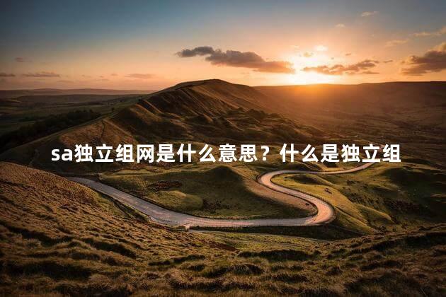 sa独立组网是什么意思？什么是独立组网-SA网络的意义