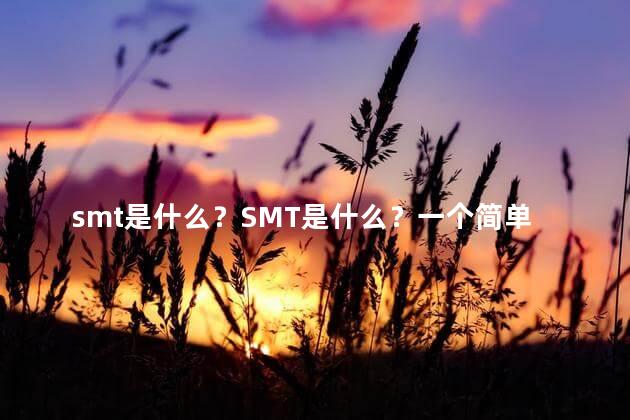 smt是什么？SMT是什么？一个简单的解释