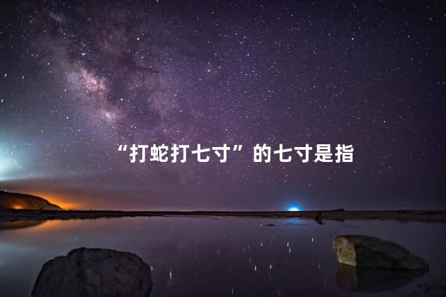 “打蛇打七寸”的七寸是指