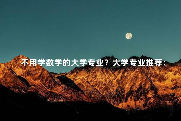 不用学数学的大学专业？大学专业推荐：非数学学科也能追求的优秀路径