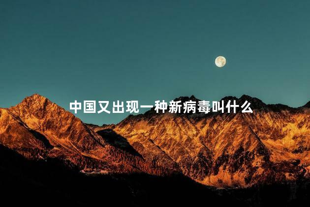 中国又出现一种新病毒叫什么