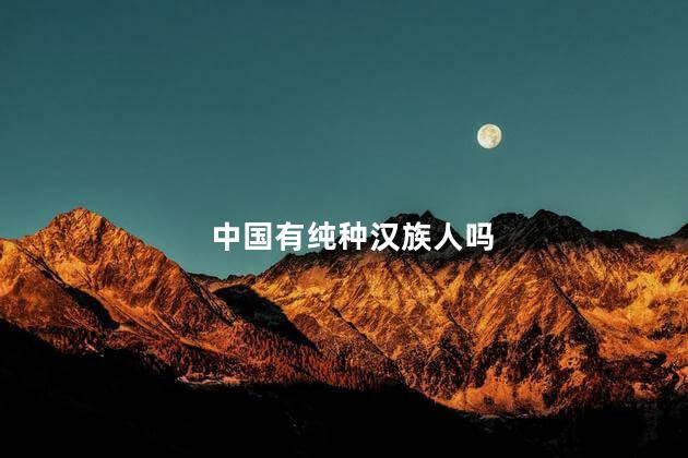 中国有纯种汉族人吗