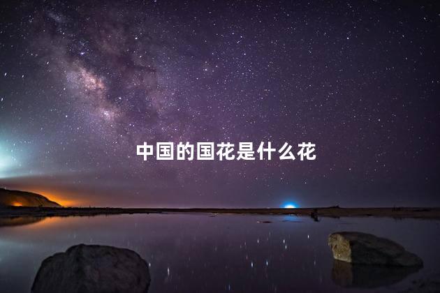 中国的国花是什么花