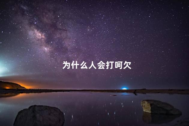 为什么人会打呵欠