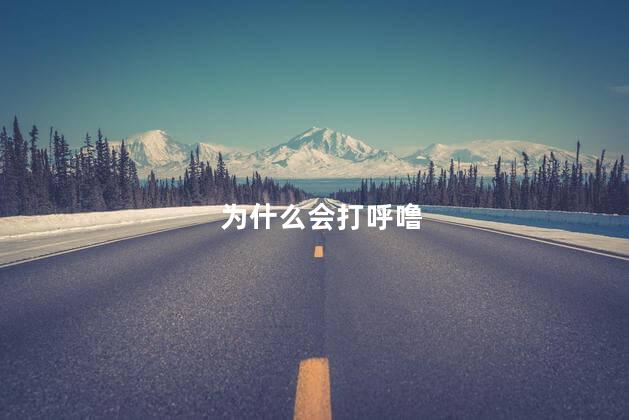 为什么会打呼噜