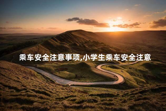 乘车安全注意事项，小学生乘车安全注意事项