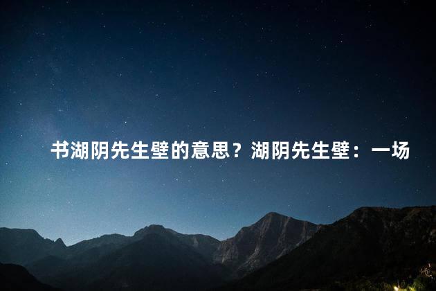 书湖阴先生壁的意思？湖阴先生壁：一场古墙的故事