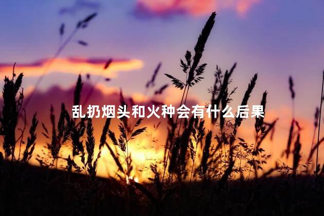 乱扔烟头和火种会有什么后果