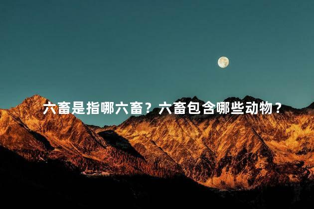 六畜是指哪六畜？六畜包含哪些动物？