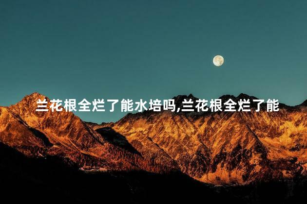 兰花根全烂了能水培吗，兰花根全烂了能水培吗