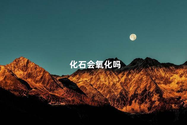 化石会氧化吗，化石会被氧化吗
