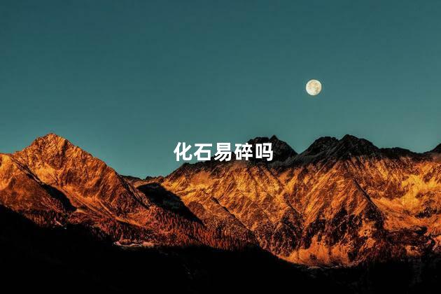 化石易碎吗，化石脆弱吗