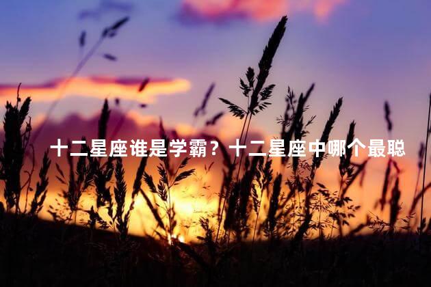 十二星座谁是学霸？十二星座中哪个最聪明