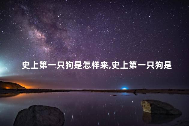 史上第一只狗是怎样来，史上第一只狗是怎样来养的
