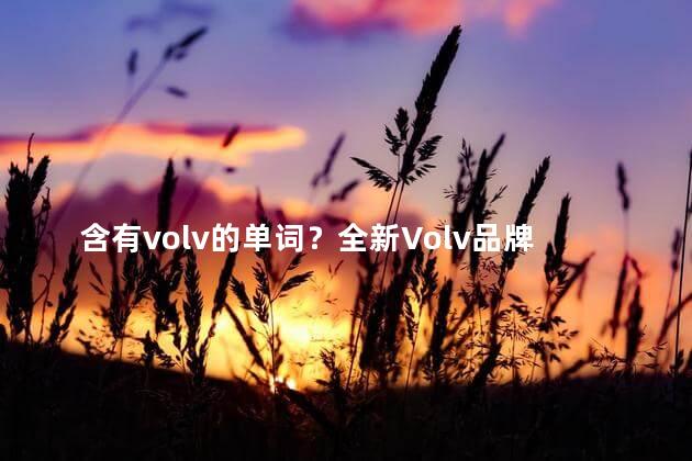 含有volv的单词？全新Volv品牌，引领时尚潮流！