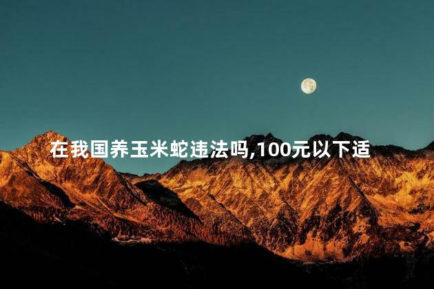 在我国养玉米蛇违法吗，100元以下适合学生养的宠物蛇