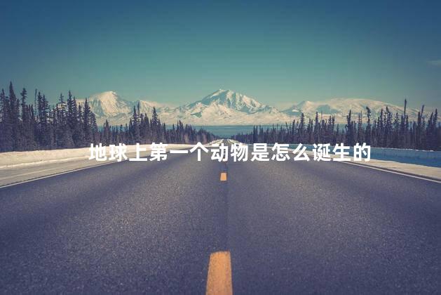 地球上第一个动物是怎么诞生的