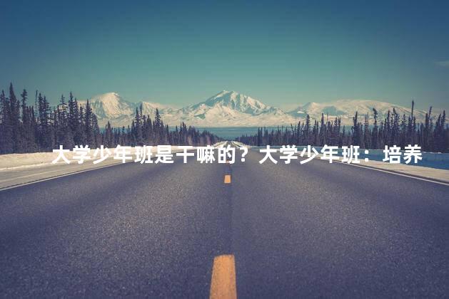 大学少年班是干嘛的？大学少年班：培养未来精英的打造之路