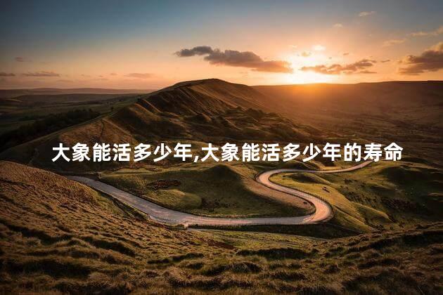 大象能活多少年，大象能活多少年的寿命