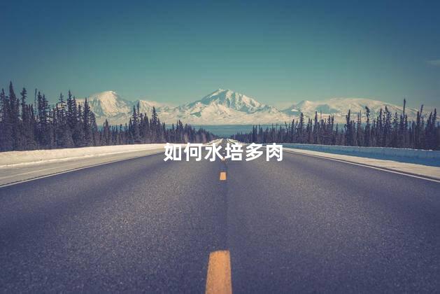 如何水培多肉