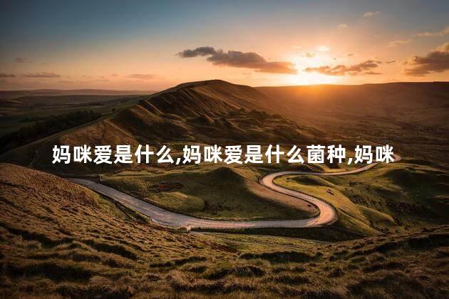 妈咪爱是什么，妈咪爱是什么菌种