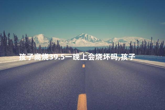 孩子高烧39.5一晚上会烧坏吗，孩子高烧39度多一直不退烧怎么办
