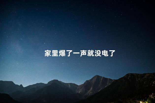 家里爆了一声就没电了