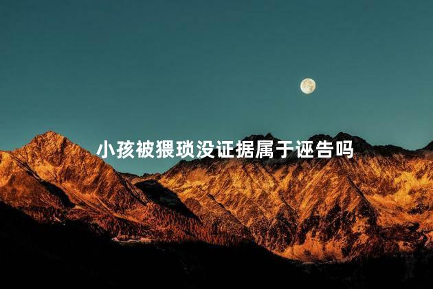 小孩被猥琐没证据属于诬告吗