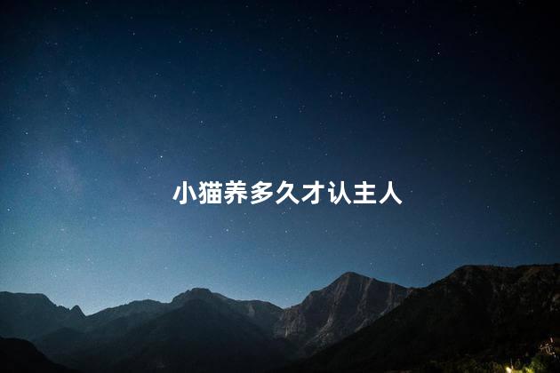 小猫养多久才认主人，猫养多久才认主人