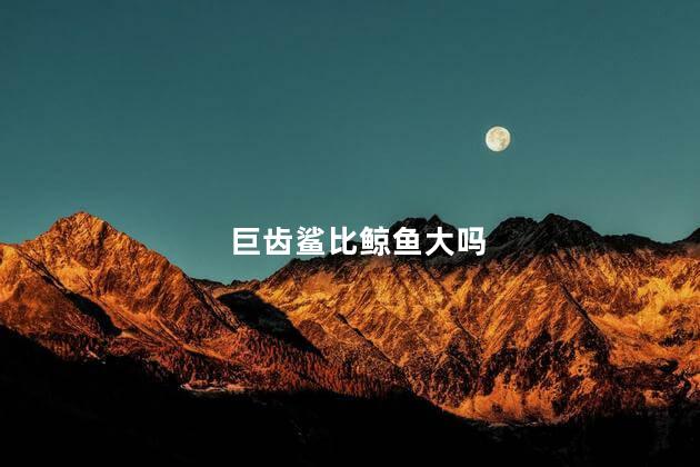 巨齿鲨比鲸鱼大吗，巨齿鲨更大还是鲸鱼更大