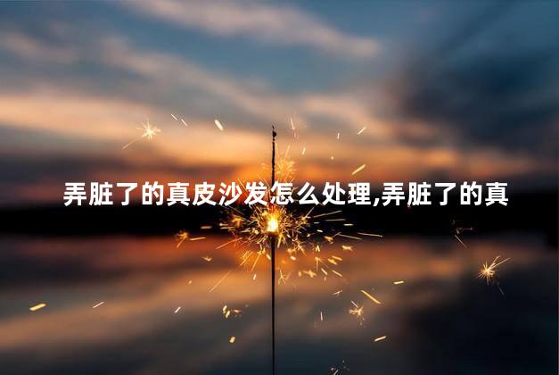 弄脏了的真皮沙发怎么处理，弄脏了的真皮沙发怎么处理好