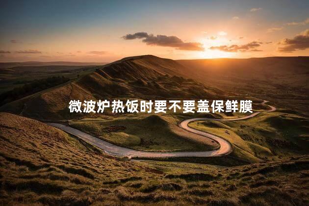 微波炉热饭时要不要盖保鲜膜，微波炉热饭可以盖保鲜膜吗