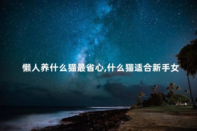 懒人养什么猫最省心，什么猫适合新手女生养