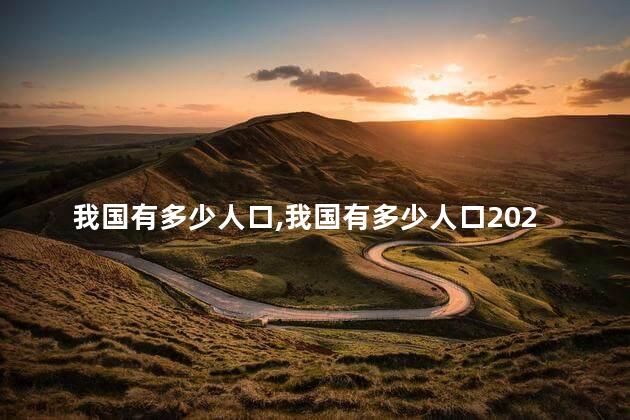 我国有多少人口，我国有多少人口2023