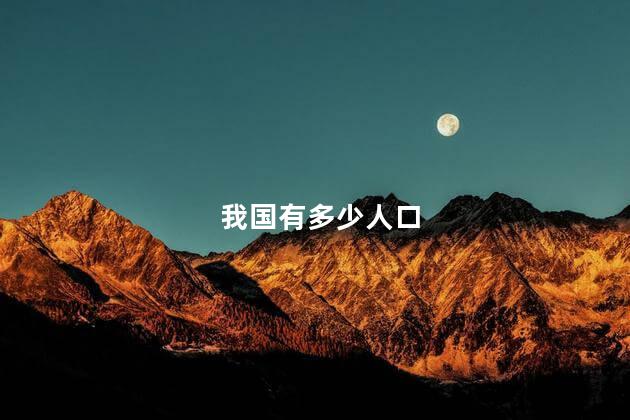 我国有多少人口
