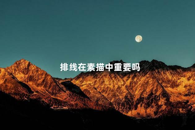 排线在素描中重要吗
