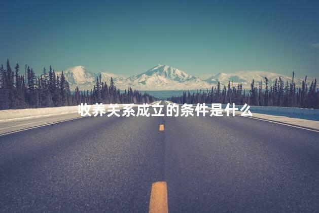 收养关系成立的条件是什么